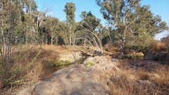 Modderfontein Dam Trail