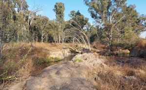 Modderfontein Dam Trail