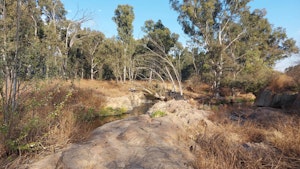 Modderfontein Dam Trail