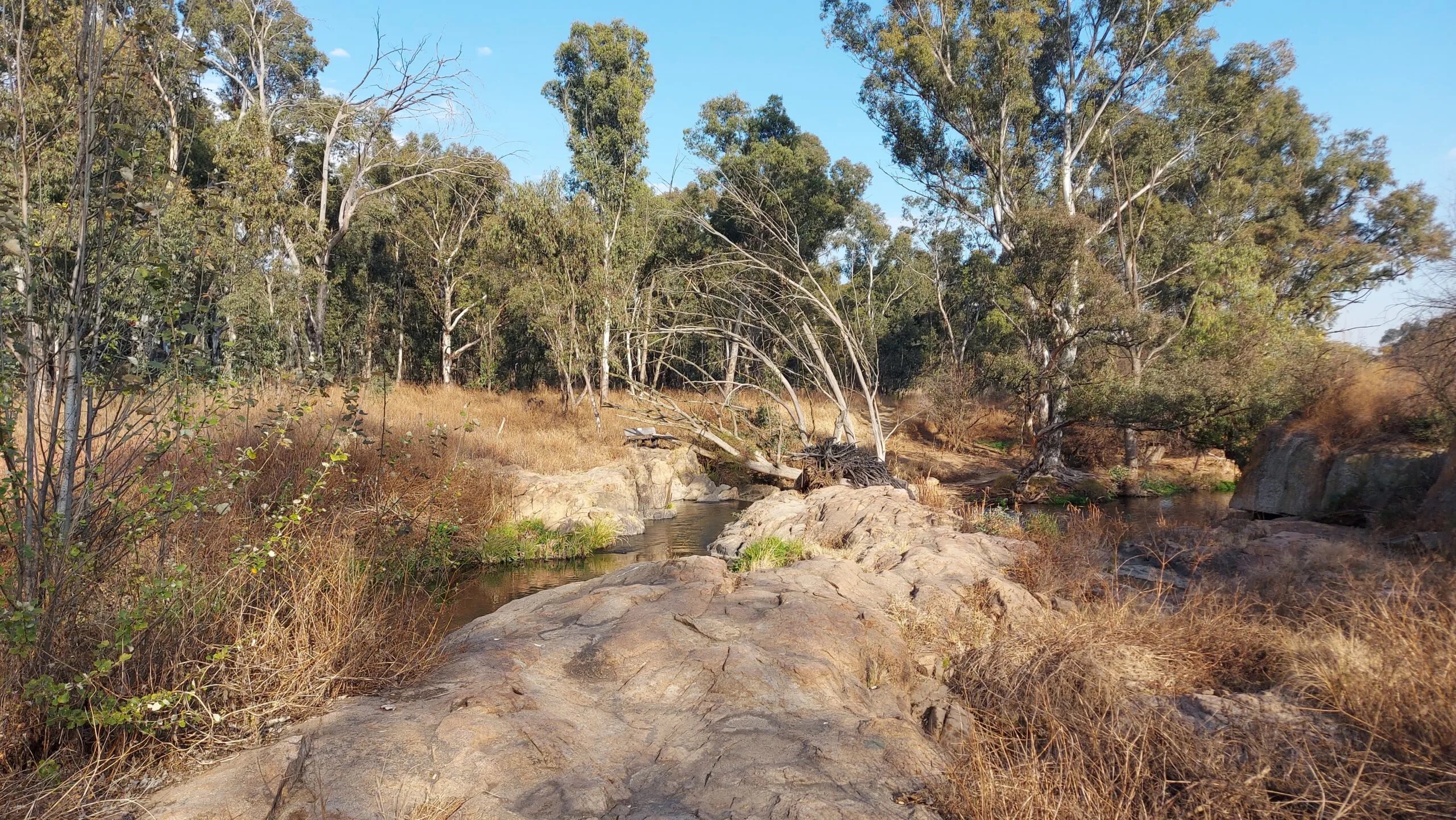 Modderfontein Dam Trail