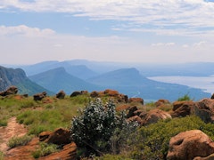 Vergenoeg Hiking Trail: Black Route