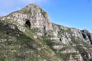 Elephant's Eye