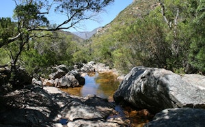 Krom River Trail