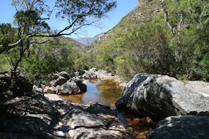 Krom River Trail