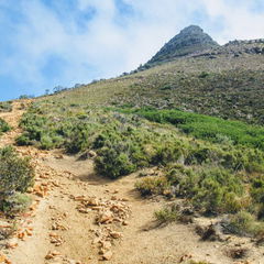Western Cape