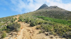 Western Cape