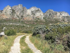 Pipe Track from Kloof Nek