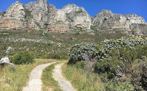 Pipe Track from Kloof Nek