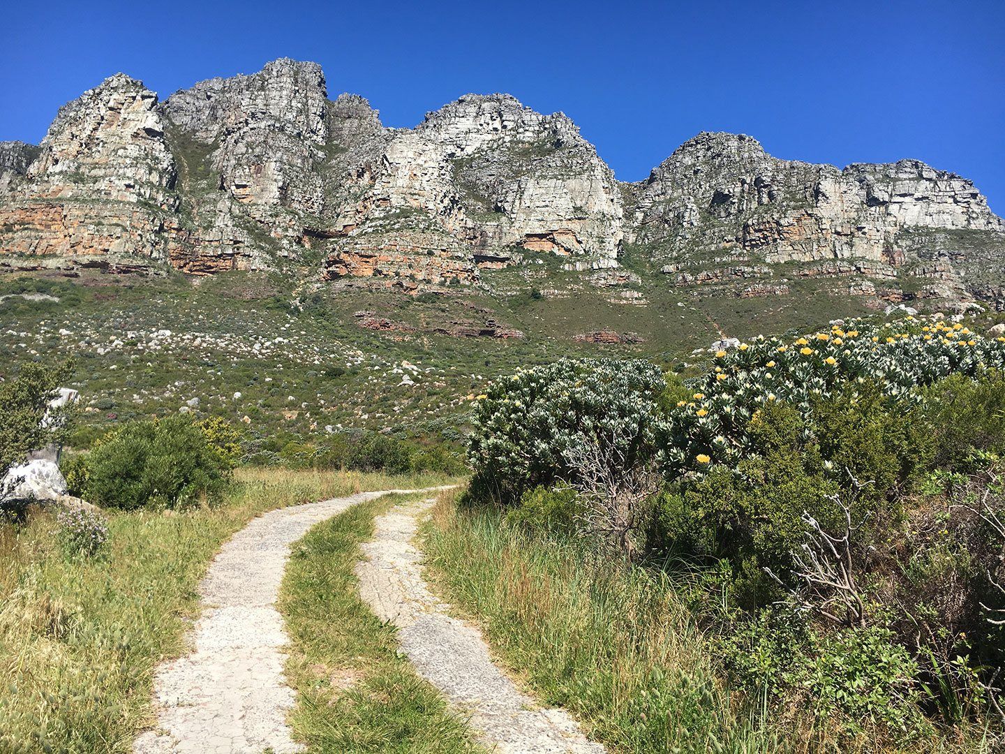 Pipe Track from Kloof Nek