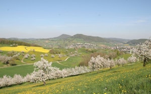 Ouest de Gipf-Oberfrick