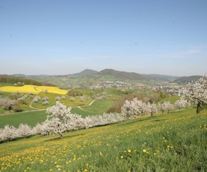 Ouest de Gipf-Oberfrick