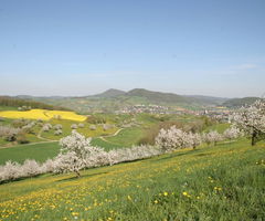West of Gipf-Oberfrick