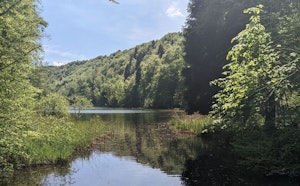 Egelsee from Hasenberg
