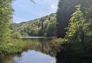 Egelsee from Hasenberg