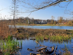 Flachsee