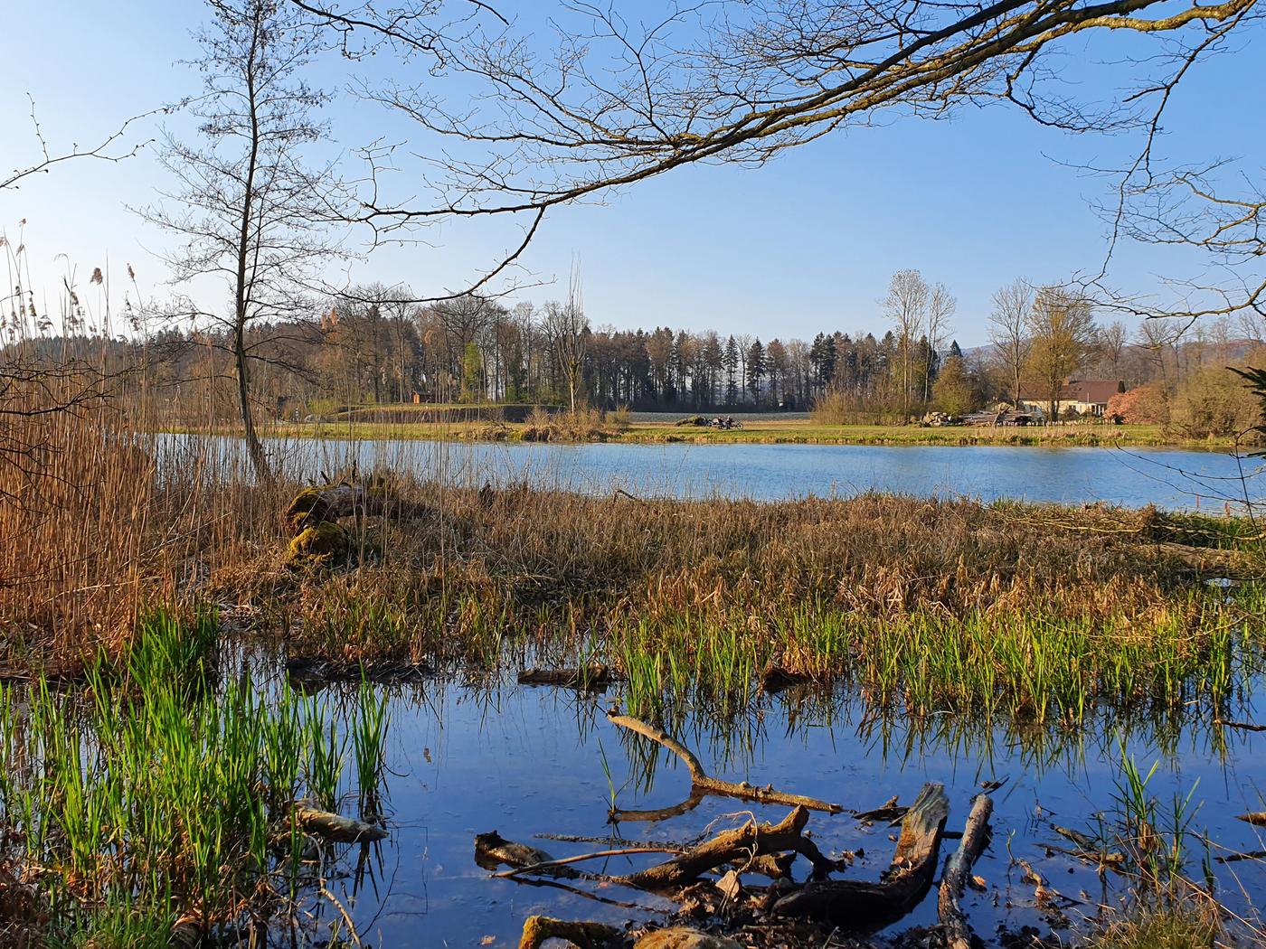 Flachsee
