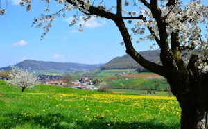 Vallée de Frick