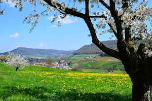 Vallée de Frick