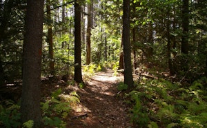 Hauteurs de Kappelerhof