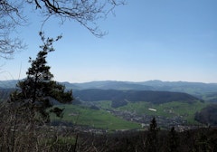 Böckterflue