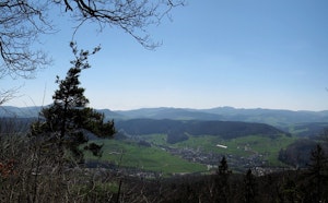Böckterflue
