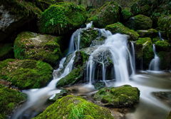 Heights of Grellingen