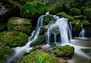 Hauteurs de Grellingen