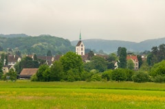 Riehen Forest