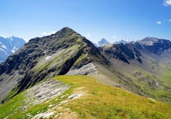 Bietenhorn