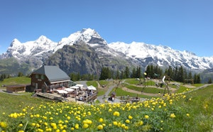 From Mürren to Allmendhubel