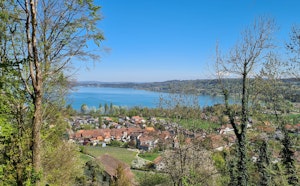 Jolimontweg