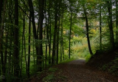 Könizberg Rundgang