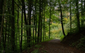 Könizberg Rundgang