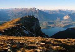 Niederhorn