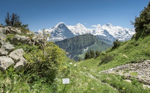 Randonnée panoramique de Schynige Platte