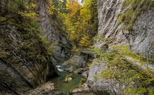 Gorges de la Jogne