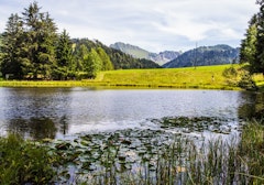 Lac des Joncs