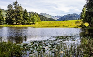 Lac des Joncs