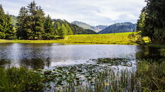 Lac des Joncs