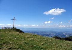 Le Cousimbert