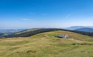 Niremont
