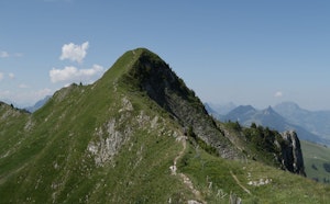 Patraflon from Schwarzsee