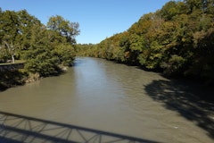 Arve in Vessy