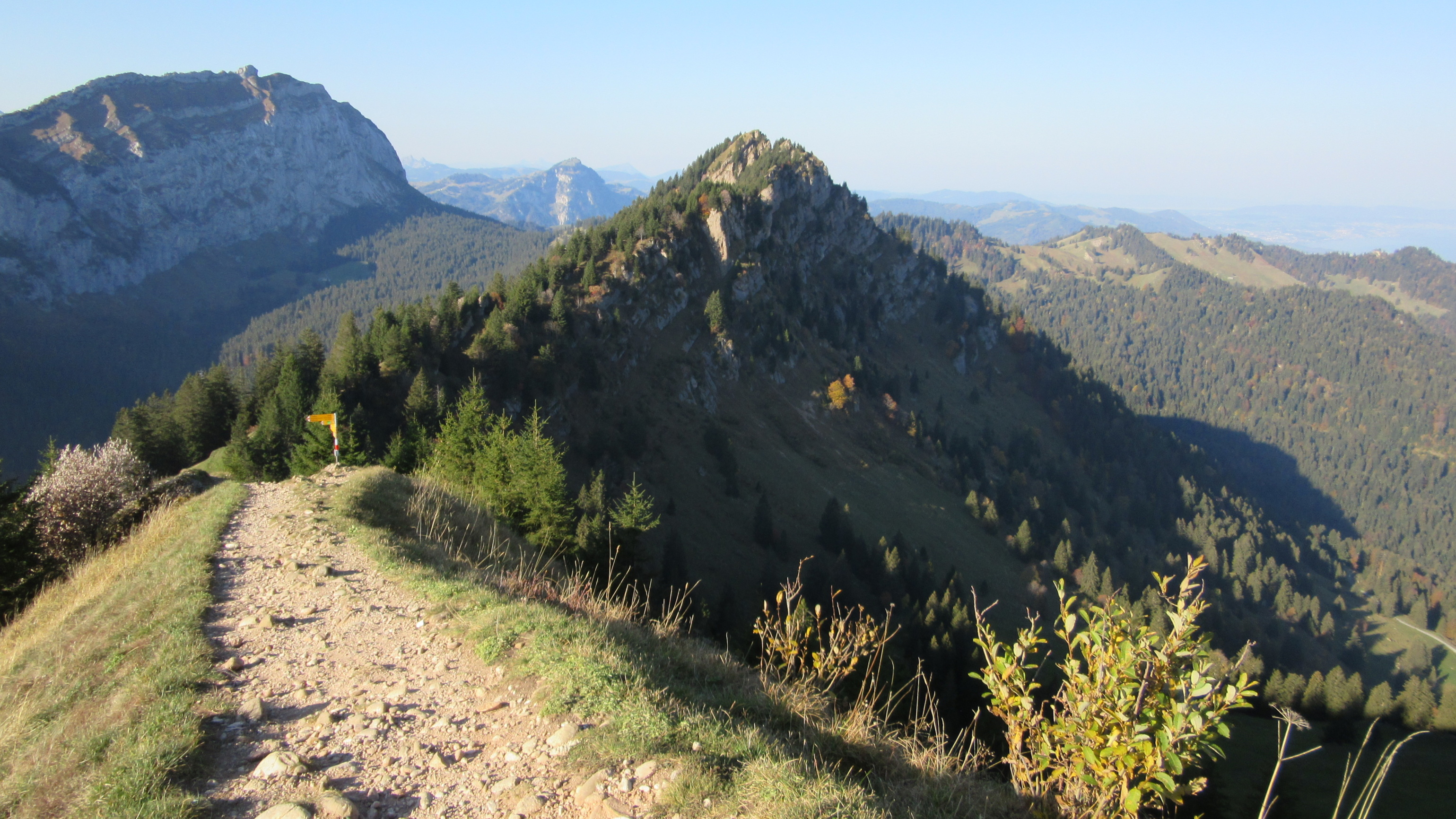 Hirzli et Planggenstock
