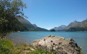 Chastè Peninsula