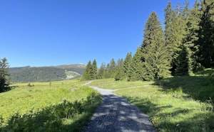 Flims panoramic trail