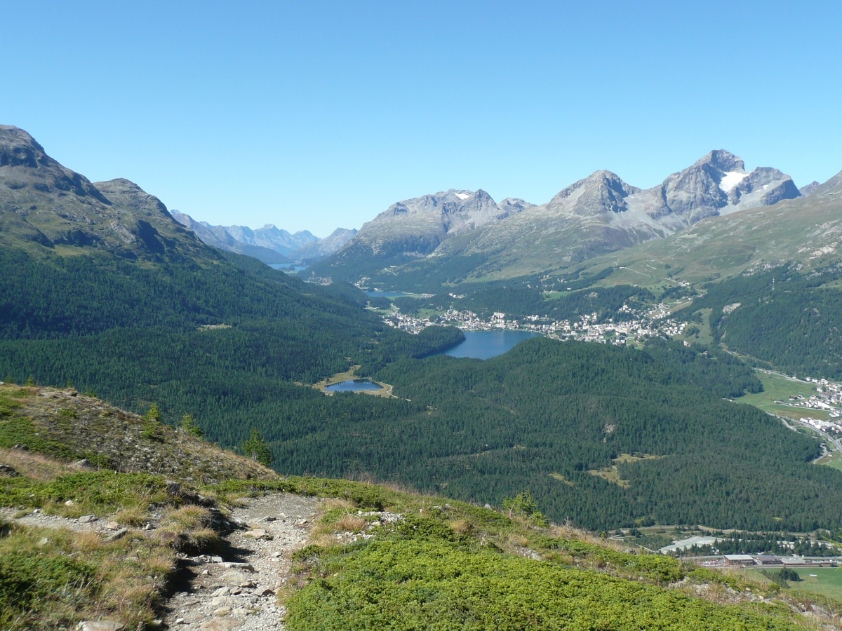 De Muottas Muragl à Alp Languard
