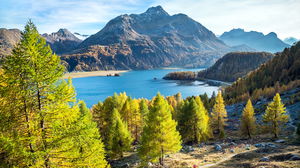 Heights of the Lake Sils from Sils