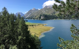 Tour of Sils Lake