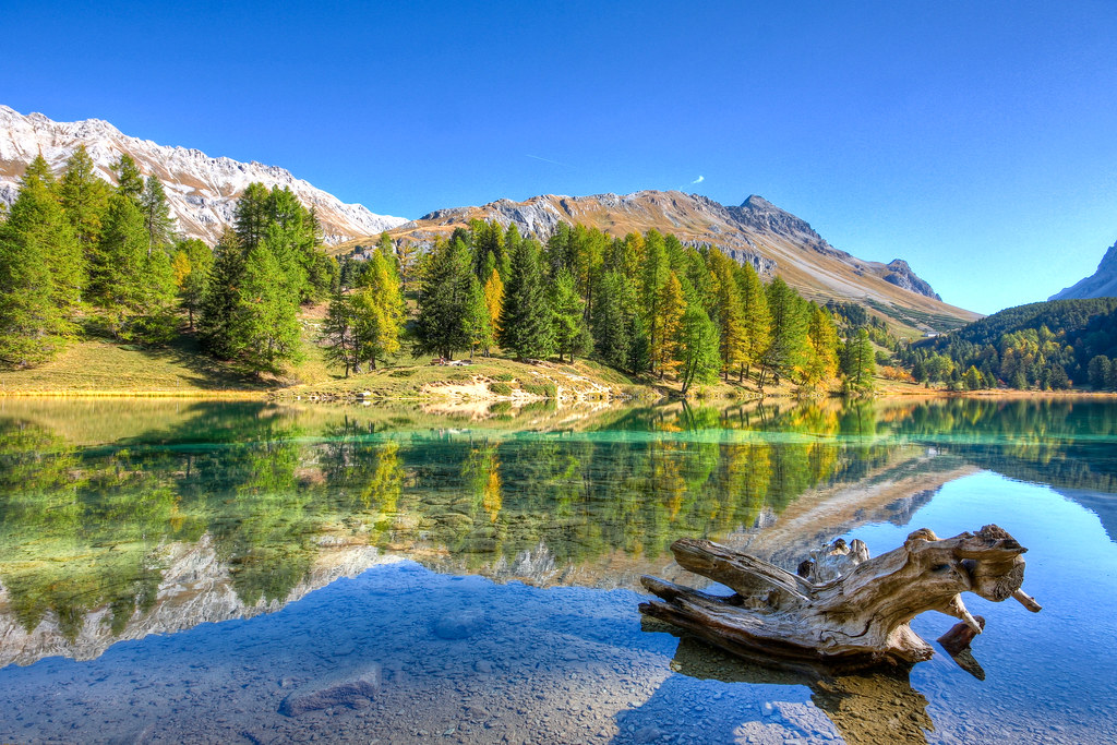 Lac de Palpuogna 